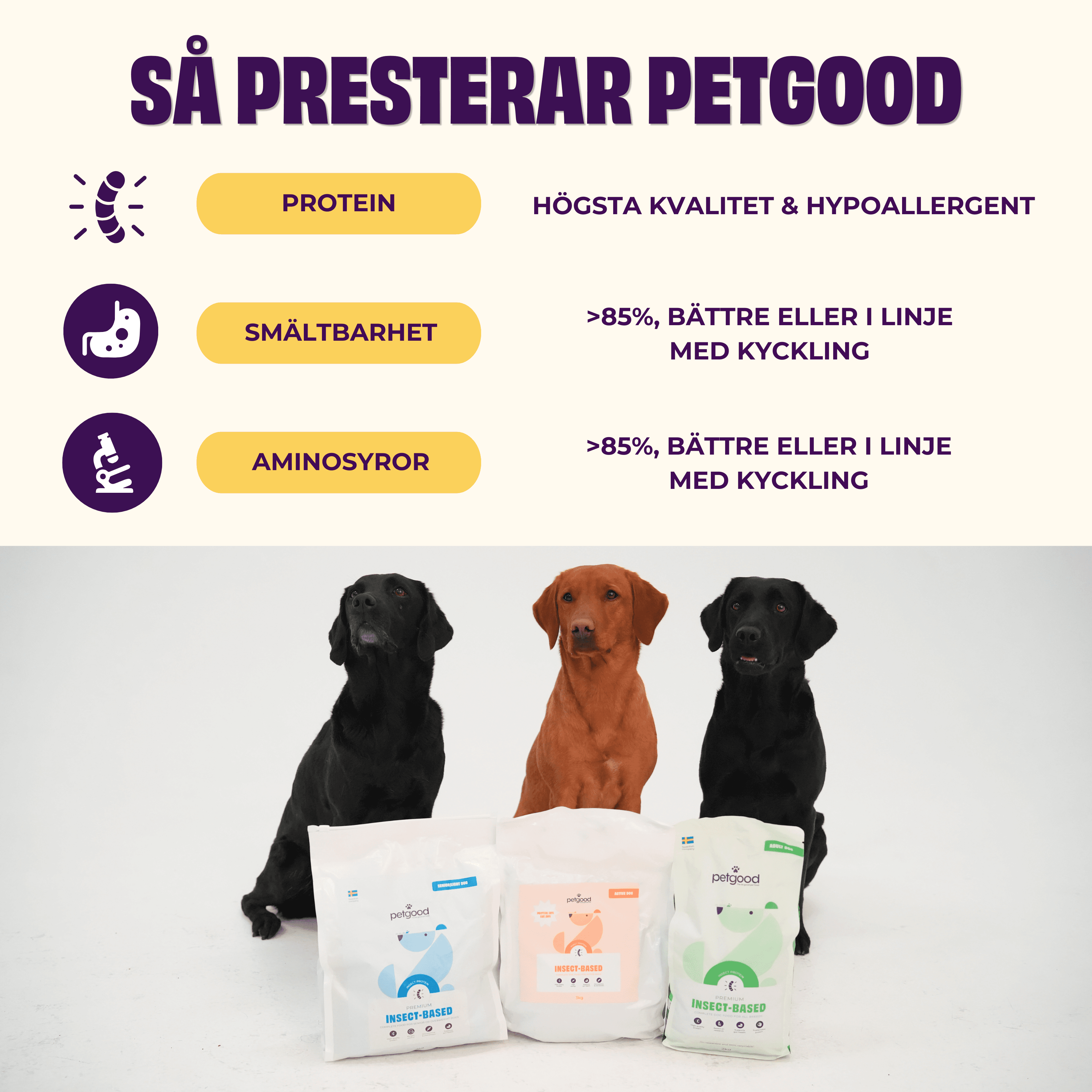 https://a.storyblok.com/f/236174/3375x3375/cbfabf3e2b/sa-presterar-petgood.png