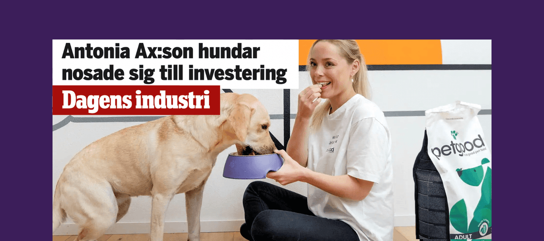 Möt våra nya partners 🪰