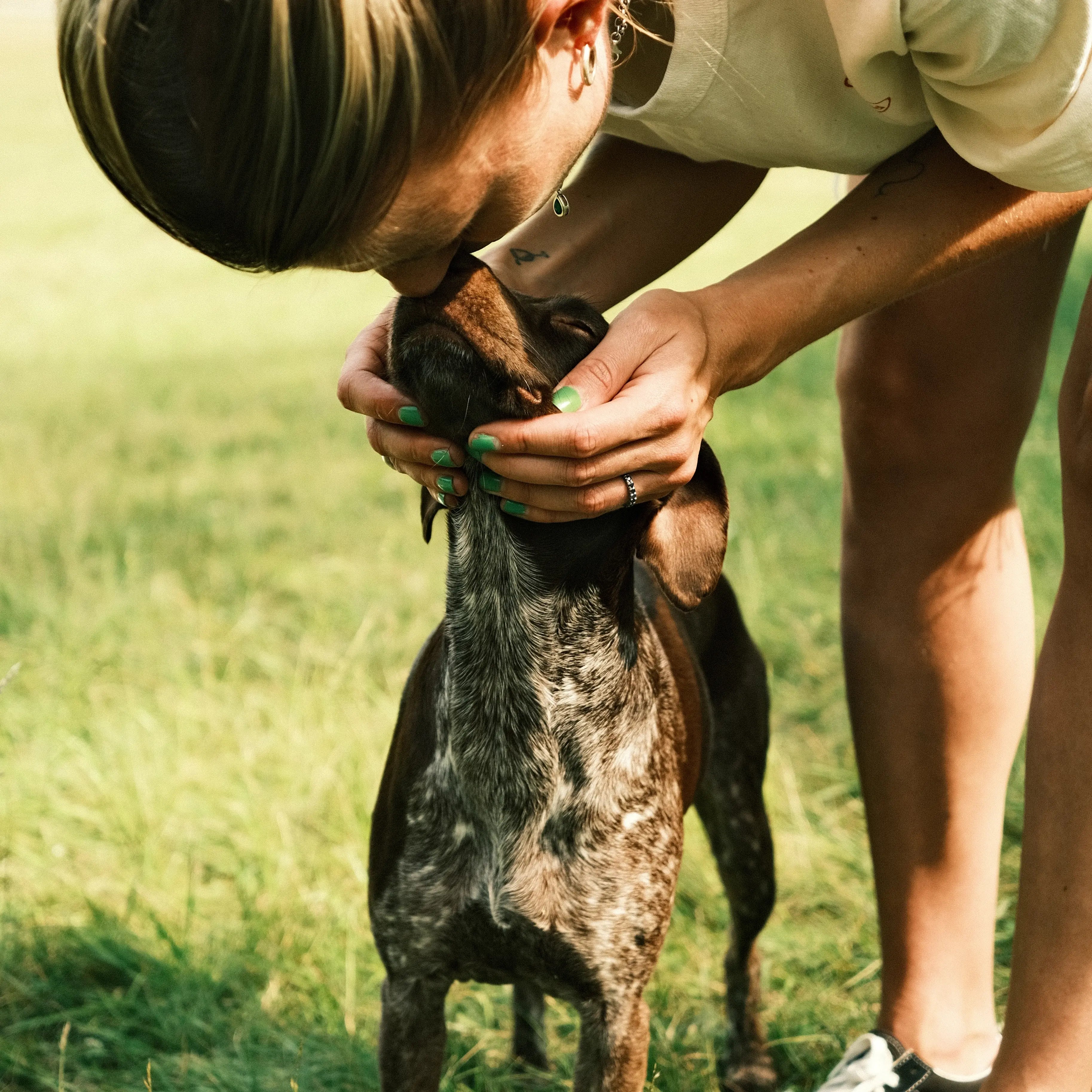 Vad ska man veta innan man adopterar en hund?