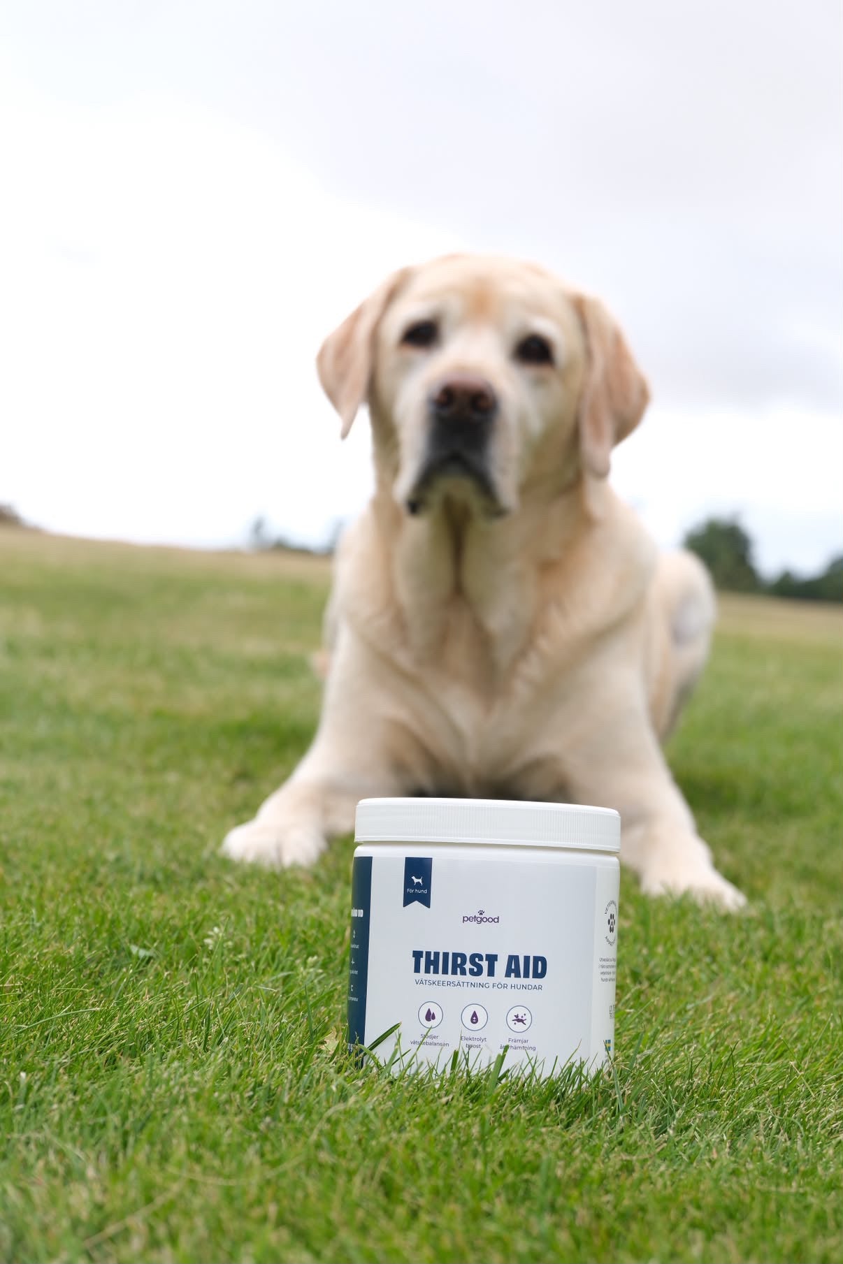 Thirst Aid - elektrolyter för hund