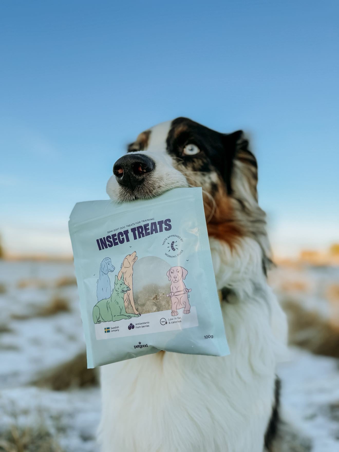 Träningsgodis för hund