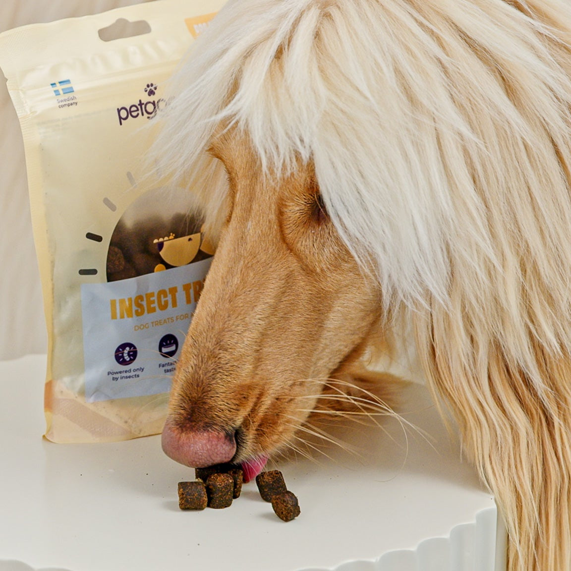 Pälsgodis för hund