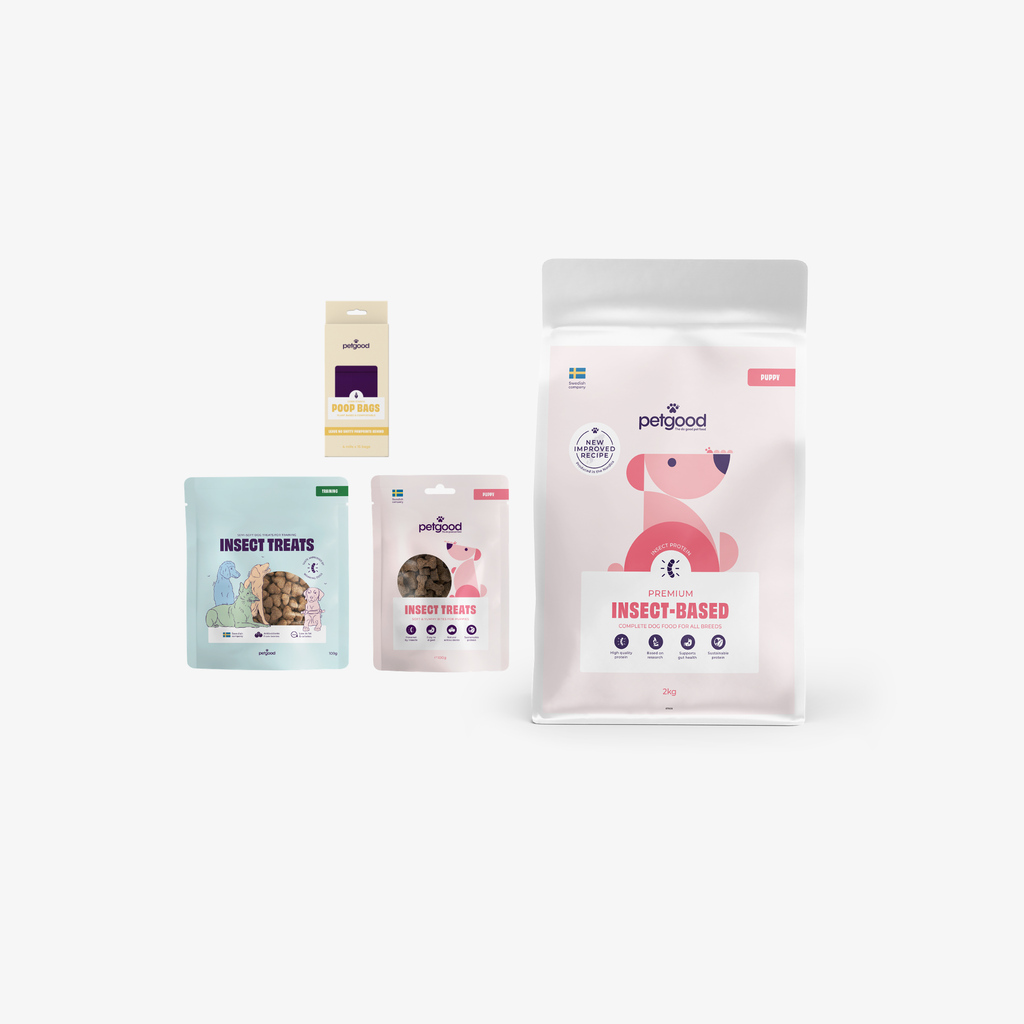 Startpaket - valp