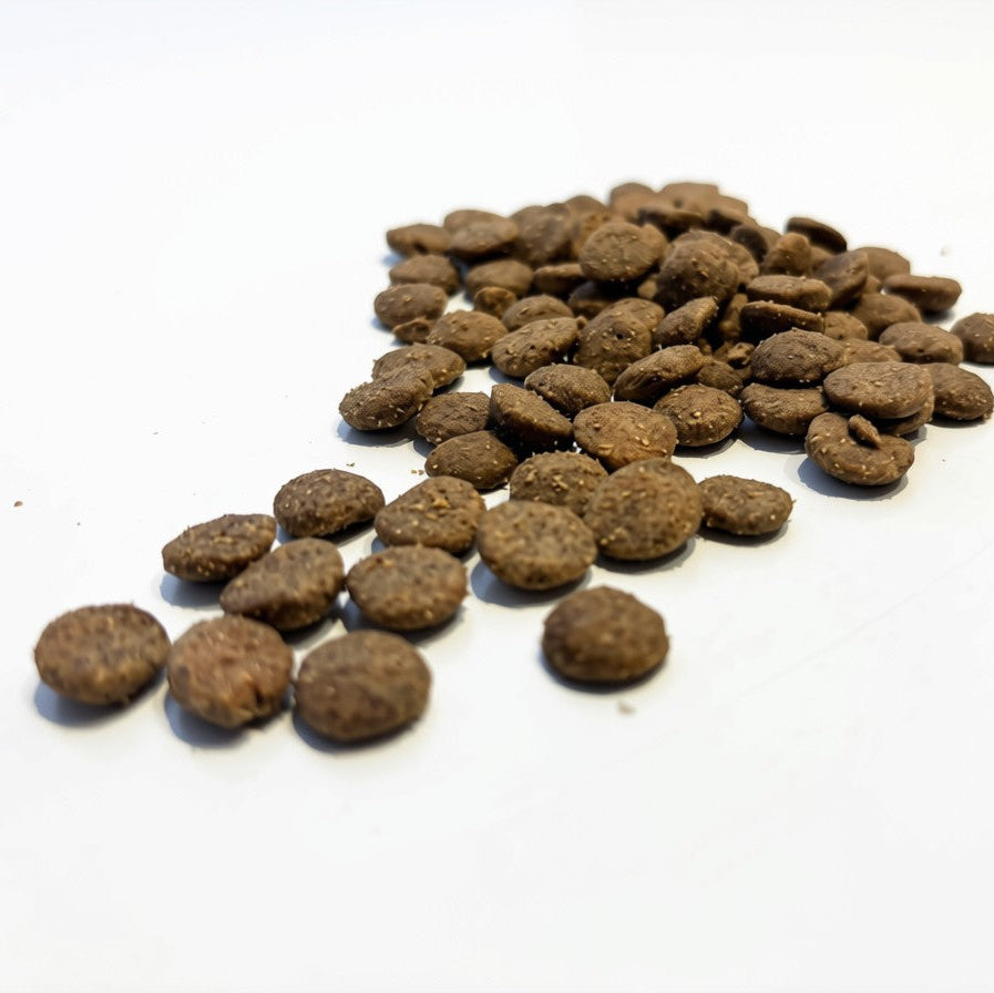 Insect-based Premium Food - Adult Dog