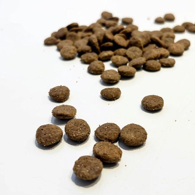 Insect-based Premium Food - Senior/Light Dog