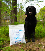 Insektsbaserat premiumfoder - Senior/Light hund