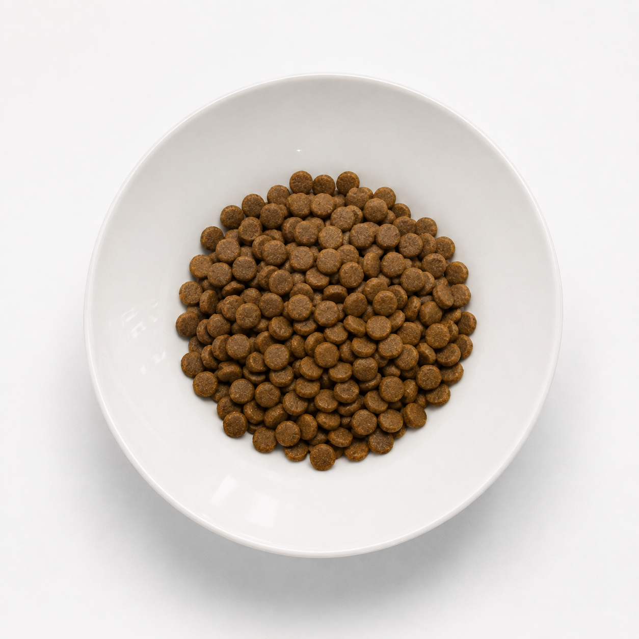 Insect-based Premium Food - Puppy