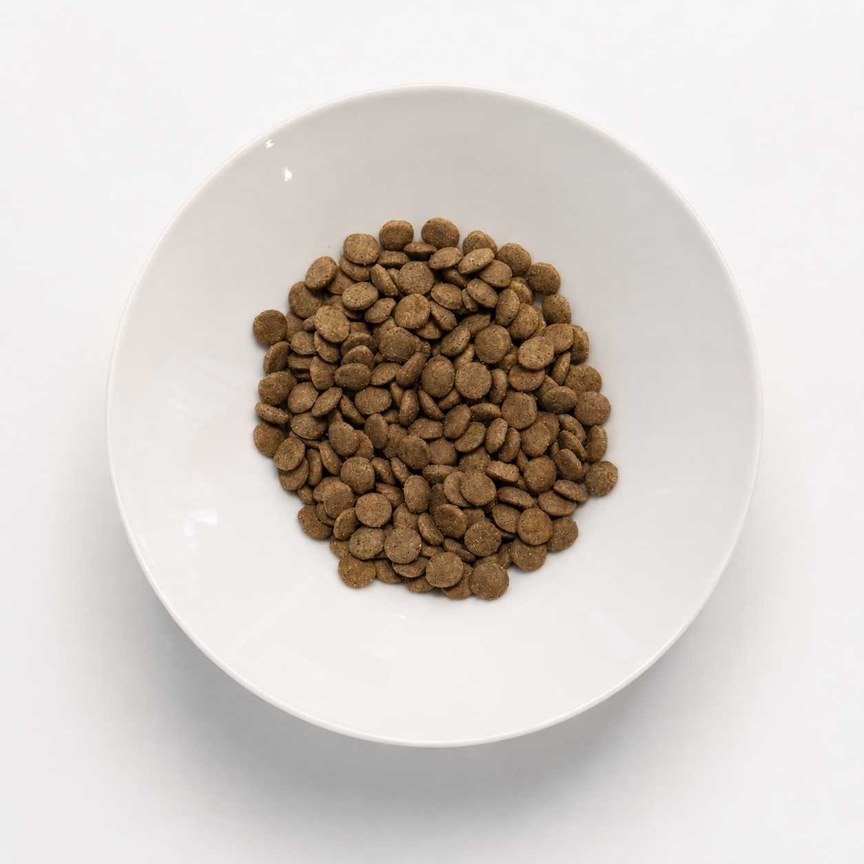 Insect-based Premium Food - Active Dog