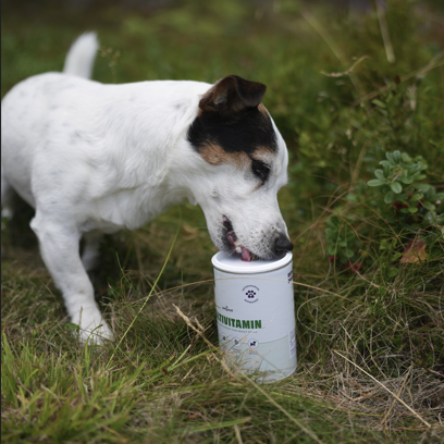 Petgood Multivitamin Vuxen - insektsbaserat kosttillskott för hundar