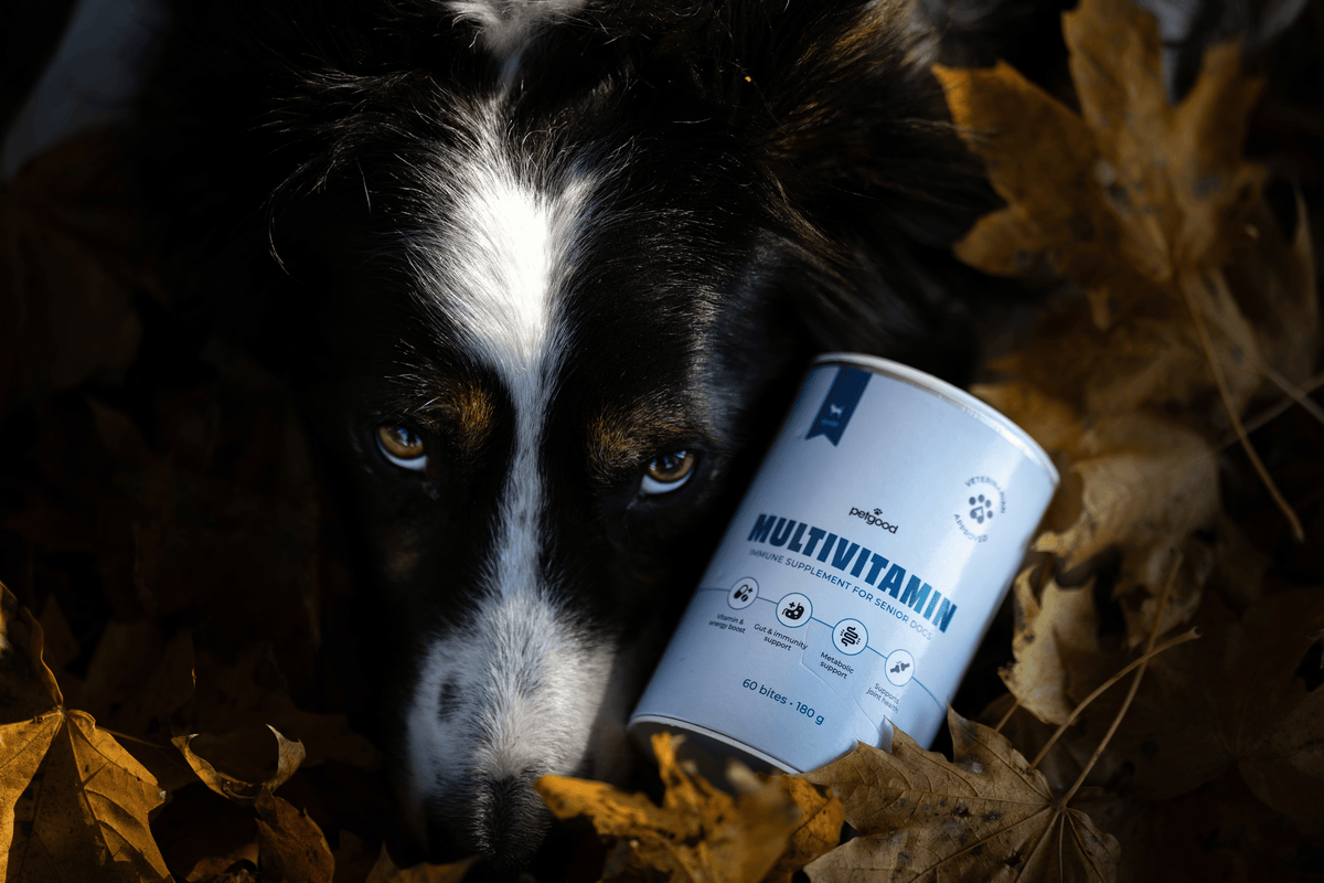 Petgood Multivitamin Senior - insektsbaserat kosttillskott för hundar
