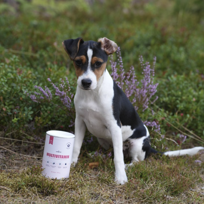 Petgood Multivitamin Puppy - insektsbaserat kosttillskott för hundar