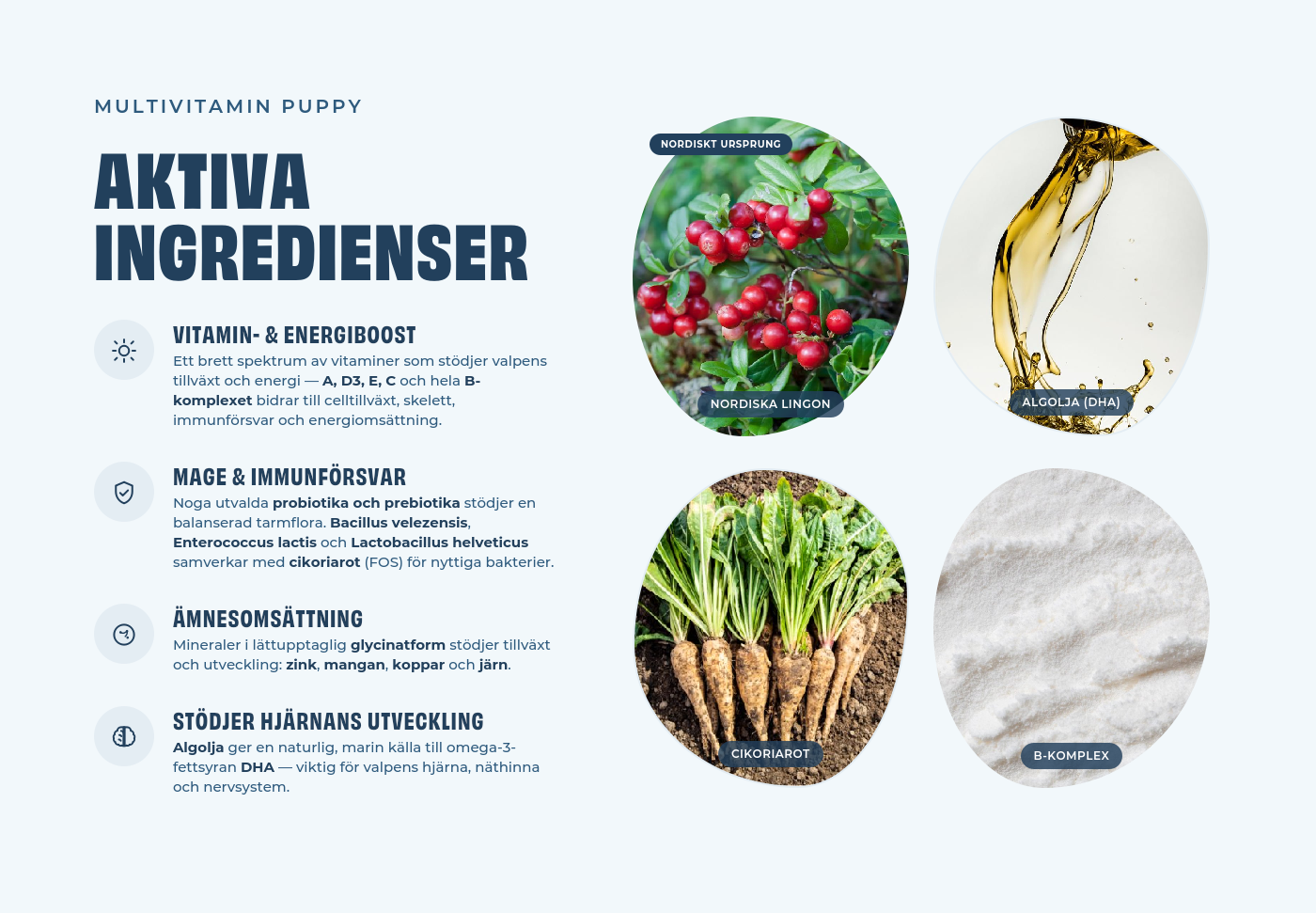 Petgood Multivitamin Puppy - insektsbaserat kosttillskott för hundar