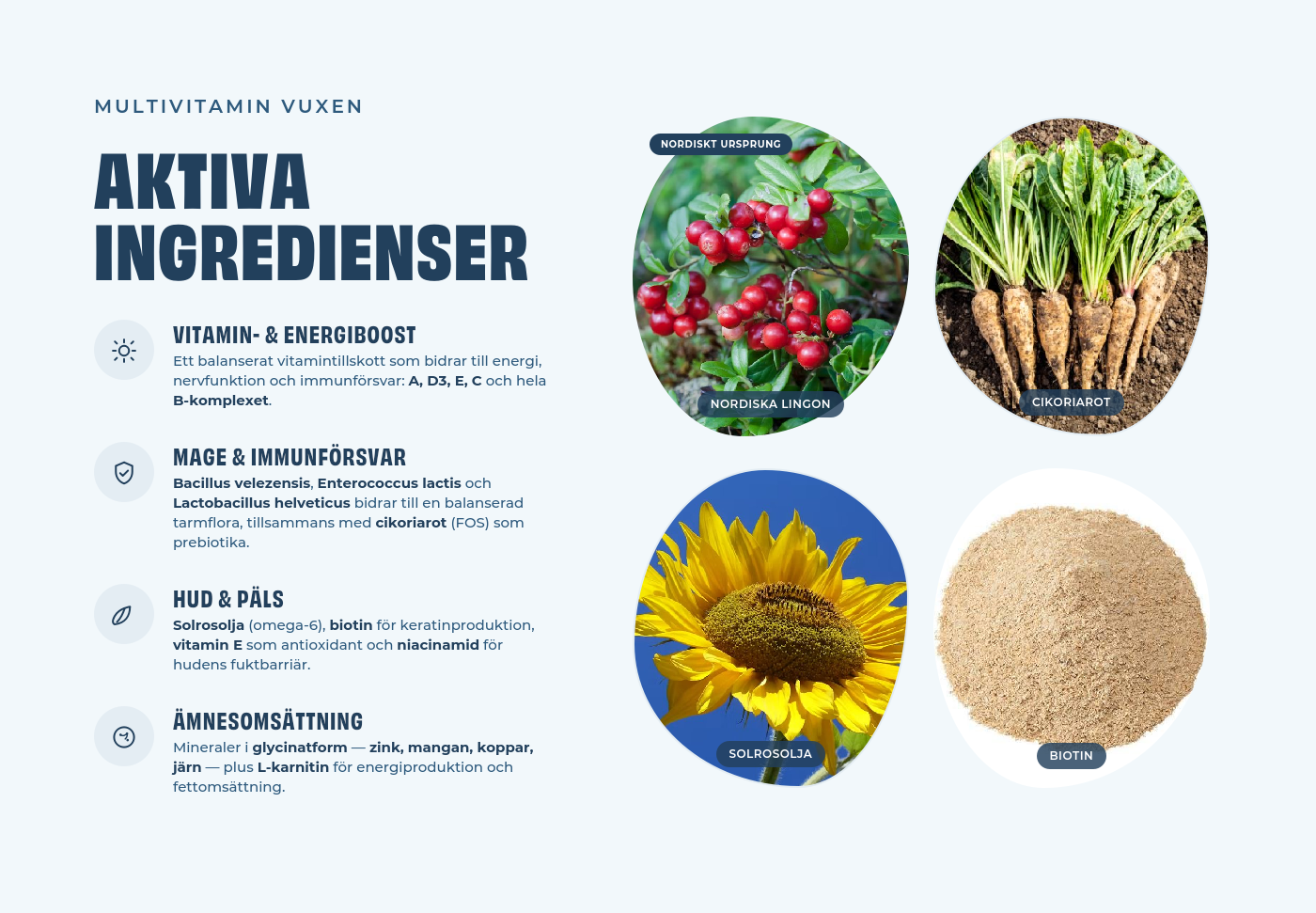 Petgood Multivitamin Vuxen - insektsbaserat kosttillskott för hundar