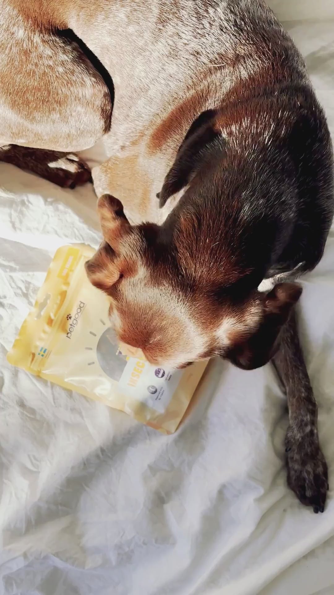 Pälsgodis för hund