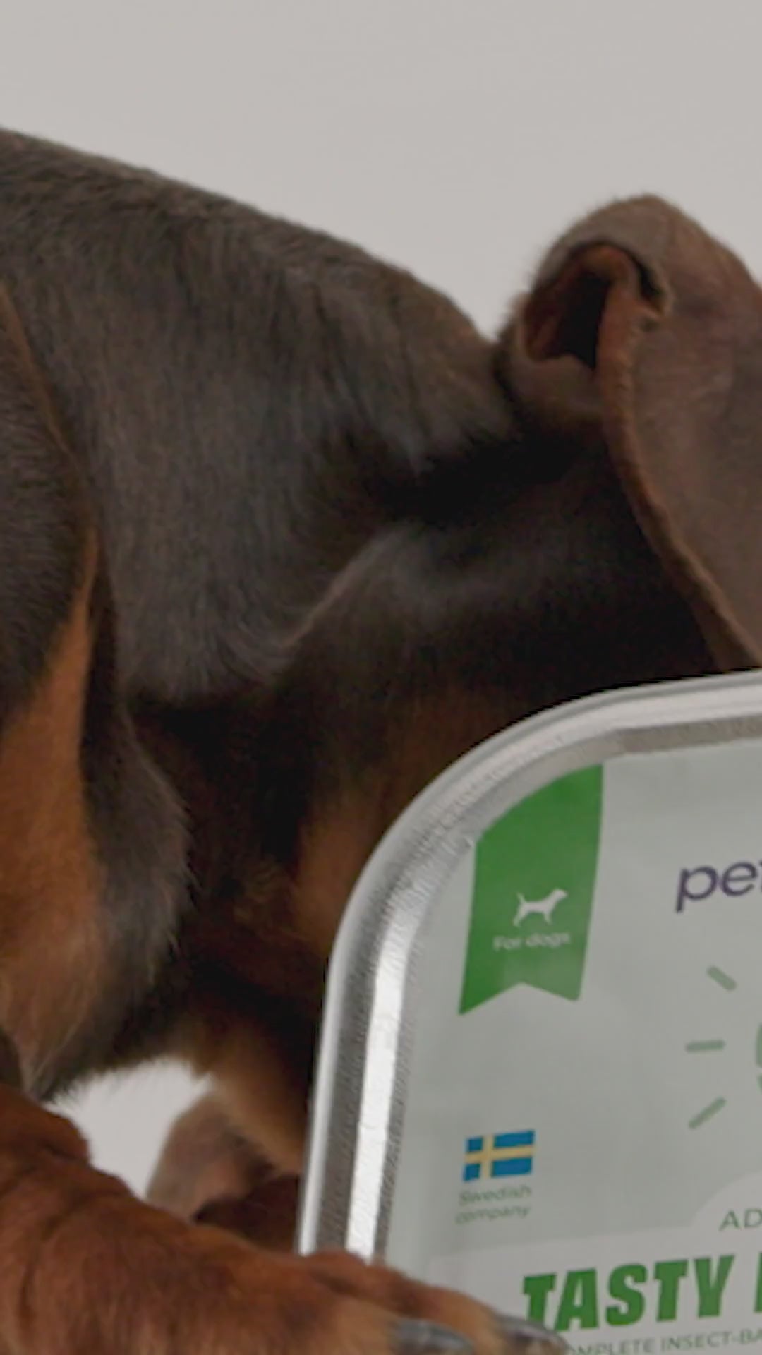 Insekts-paté våtfoder - hund