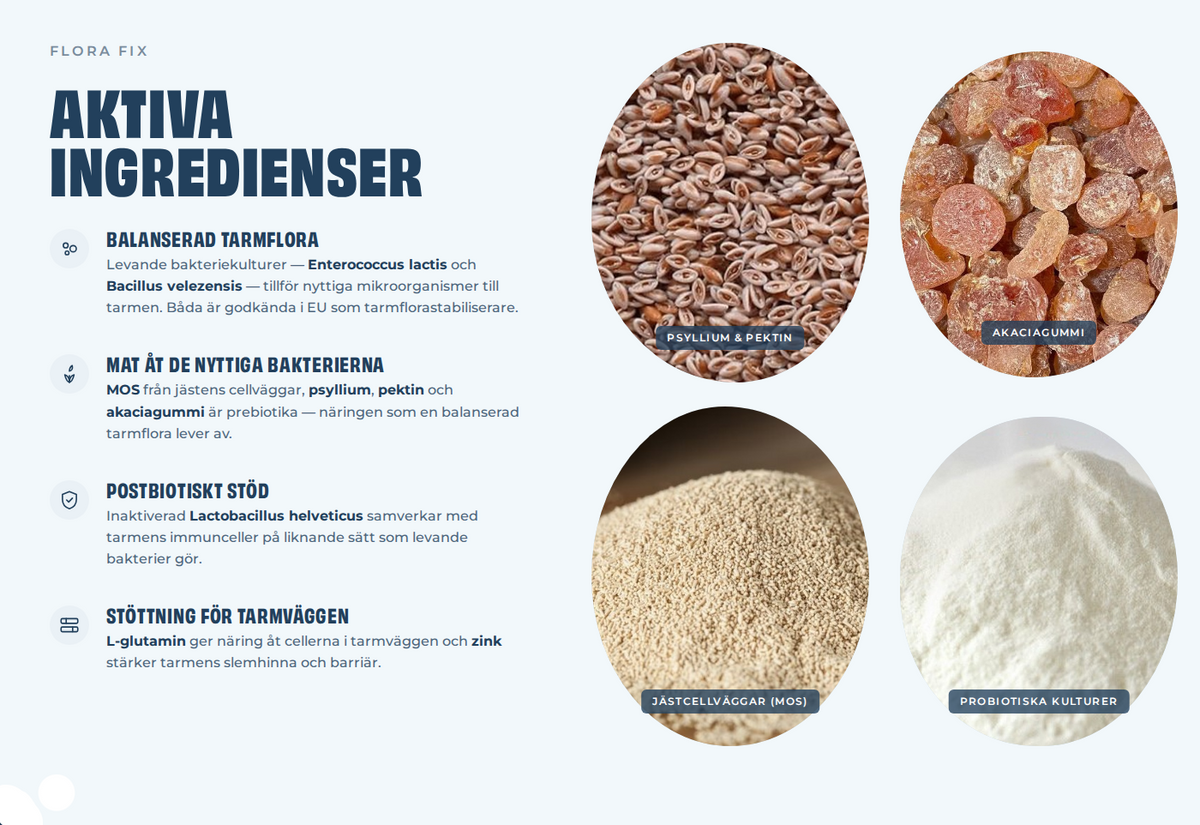 Petgood Flora Fix - probiotika för hund