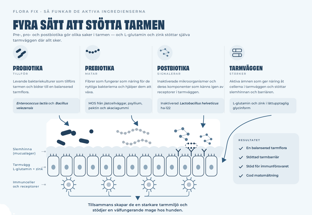 Petgood Flora Fix - probiotika för hund