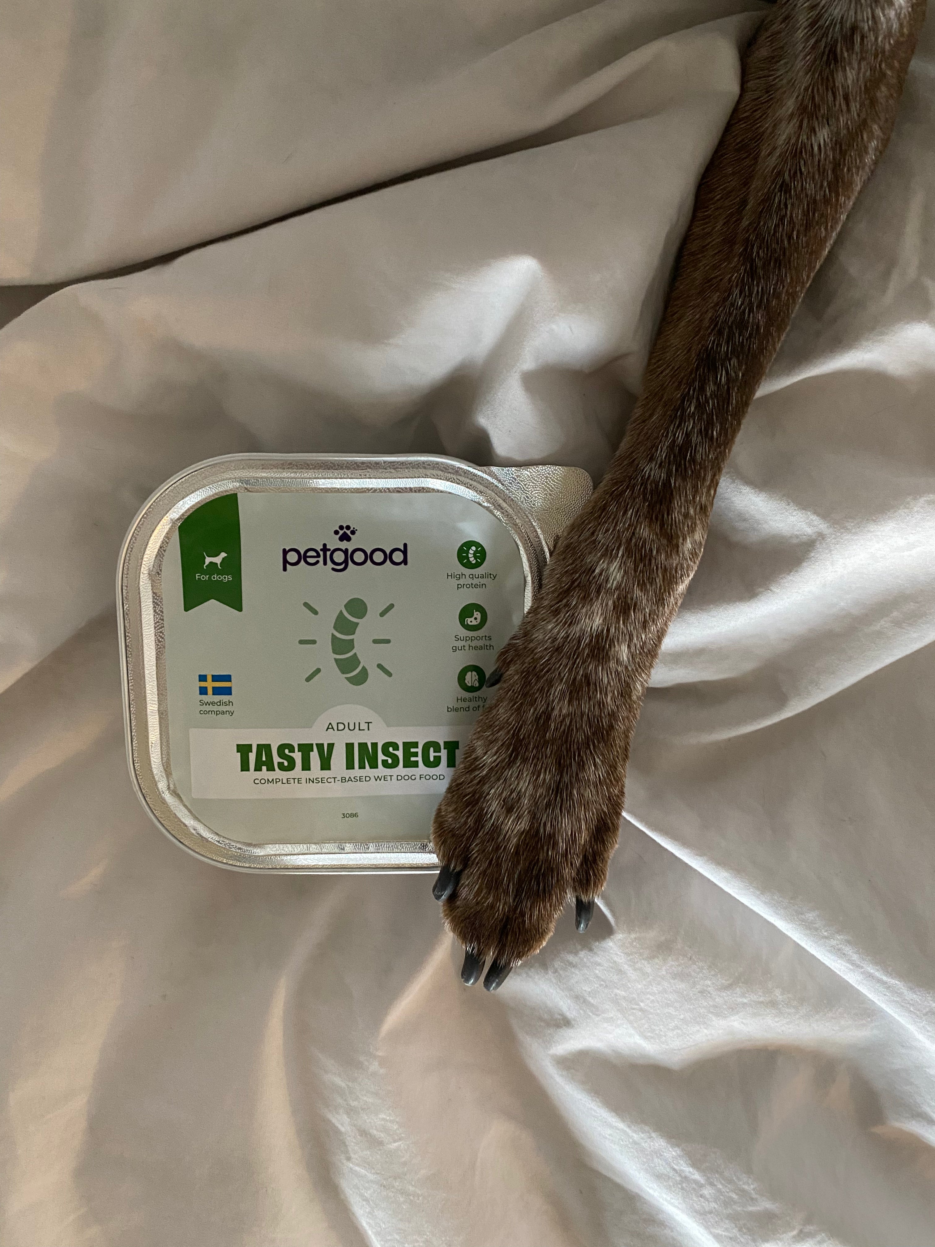 Insekts-paté våtfoder - hund